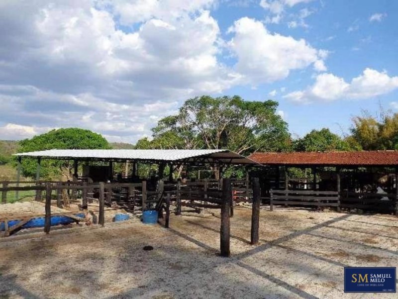 Fazenda - Venda - Distrito Industrial I - Uberaba - MG