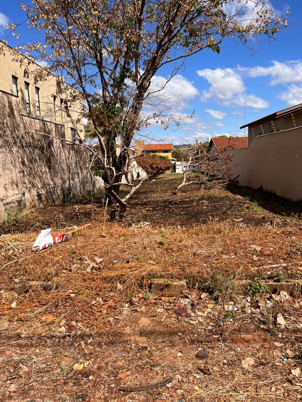 Terreno - Venda - Ribeirnia - Ribeiro Preto - SP